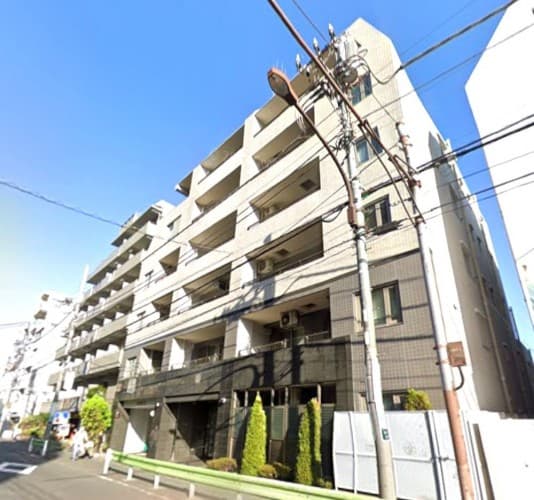 エルラフィナ白金